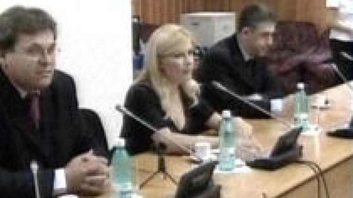 Elena Udrea, aşteptată la audierile comisiei parlamentare
