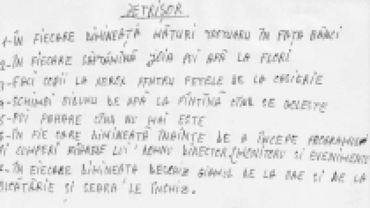 Atribuţiile agentului de pază Petrişor: Să ude florile şi să deschidă "giamul de la bae" (FOTO)