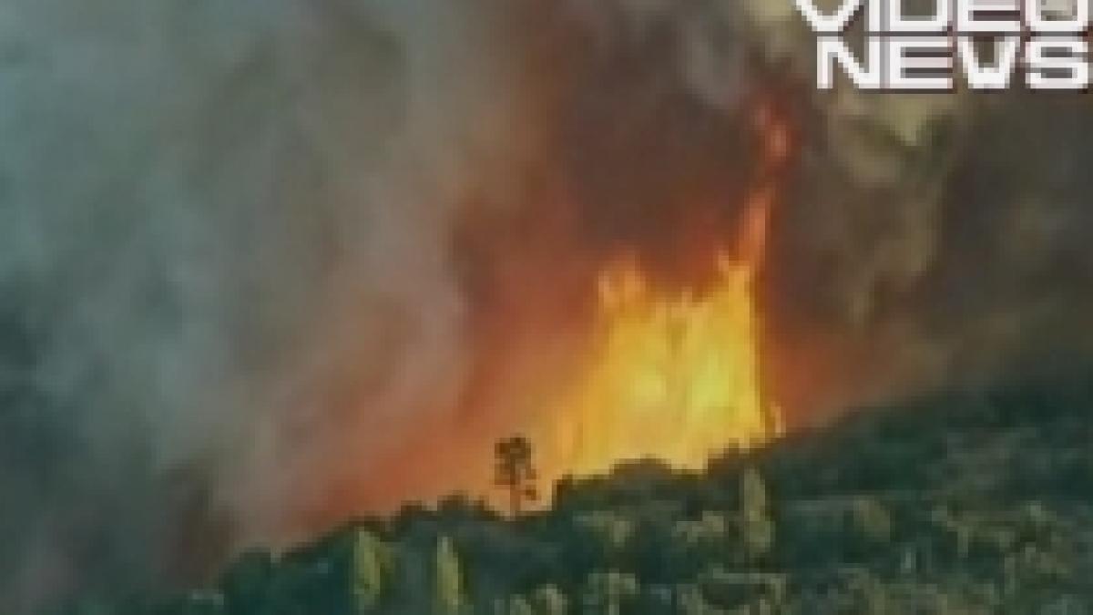 Stare de urgenţă în California, din cauza unui incendiu de pădure (VIDEO)