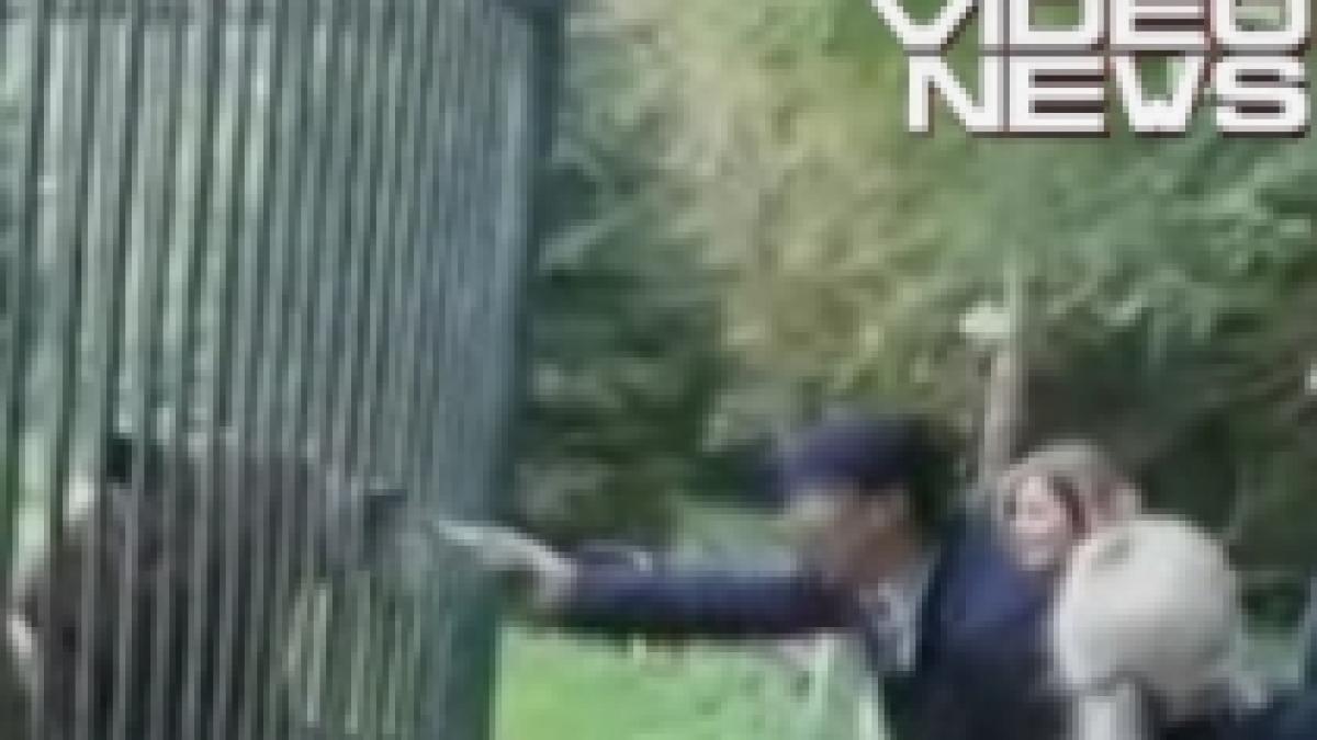 Au încercat să îmbete ursul de la Grădina Zoologică din Braşov (VIDEO)