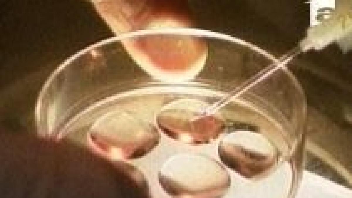 Fertilizarea in vitro nu mai este o procedură interzisă: Ministerul Sănătăţii a anulat interdicţia
