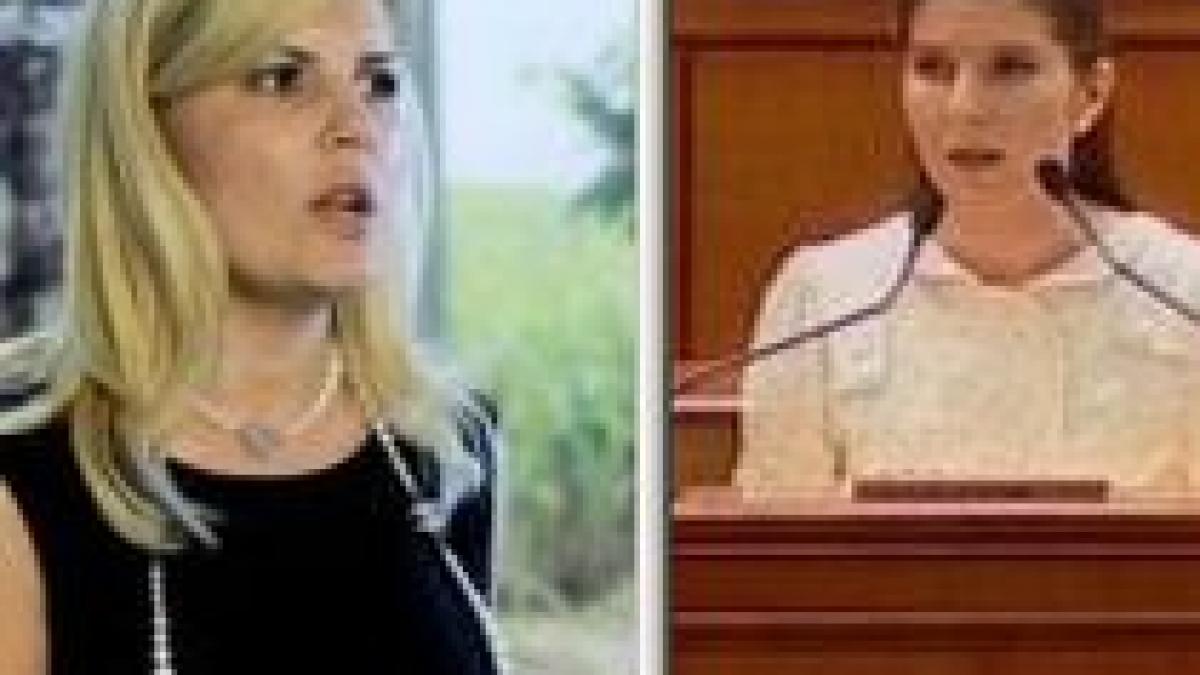 Rapoartele Comisiilor Ridzi şi Udrea, dezbătute împreună în Parlament