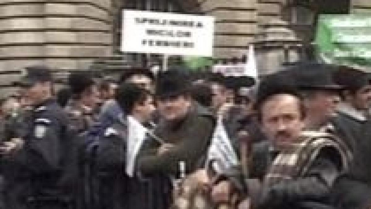 Crescătorii de oi protestează în paralel cu cei de taurine, la Ministerul Agriculturii