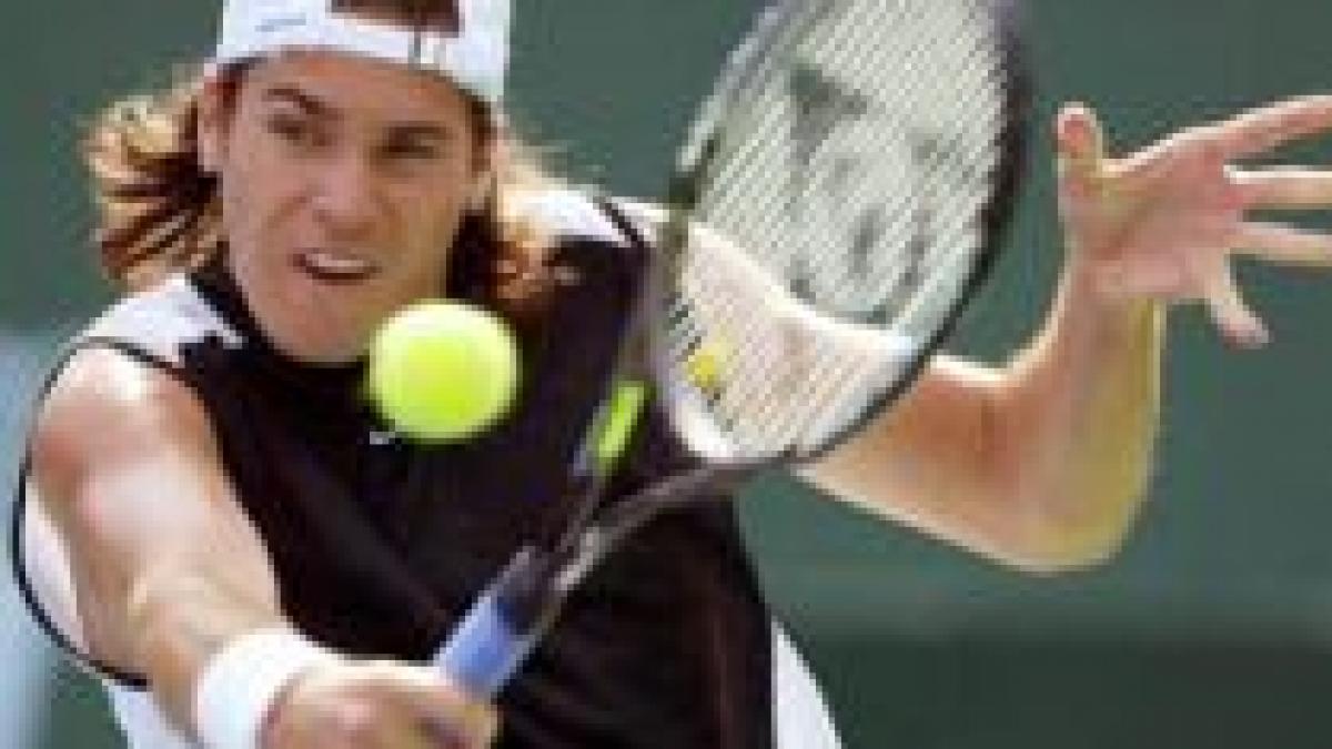 Gripa porcină "pătează" şi sportul alb. Tenismanul Tommy Haas a contractat virusul A H1N1