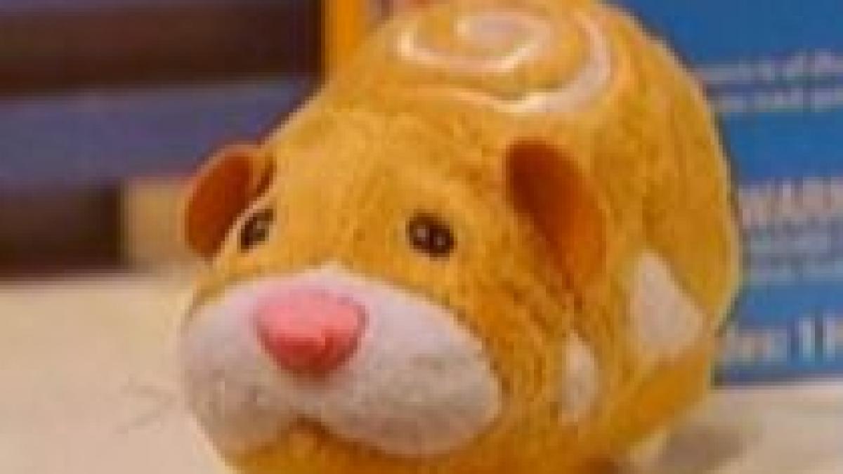 Hamsterii Zhu Zhu, cele mai populare jucării din SUA (VIDEO)