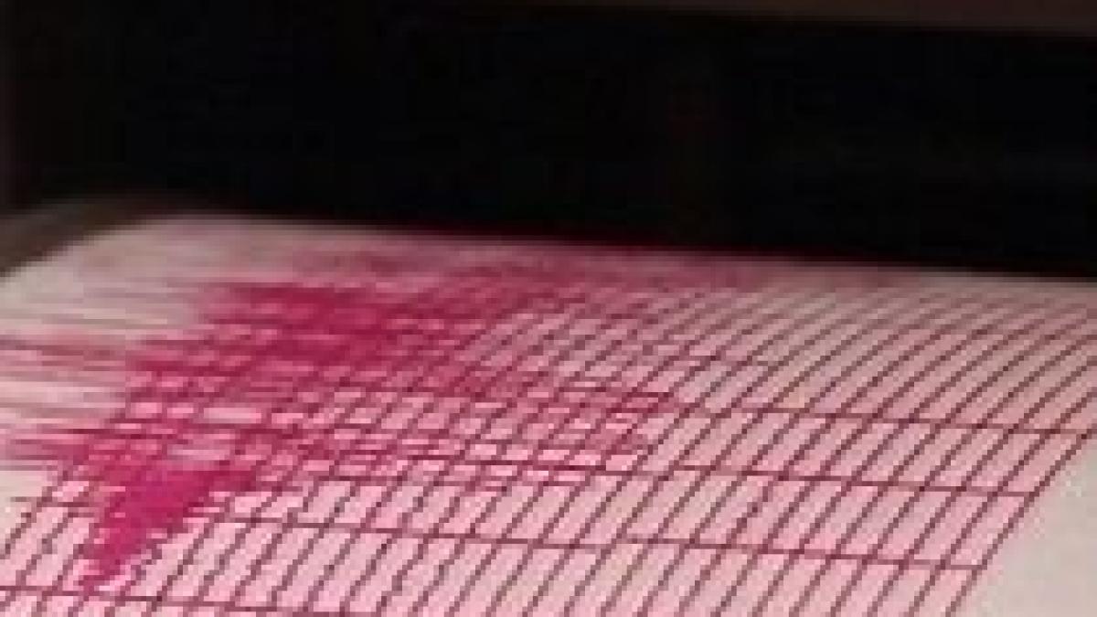 Institutul de Seismologie Aplicată: Cutremurul din Haiti, resimţit şi în România. Mărmureanu neagă 