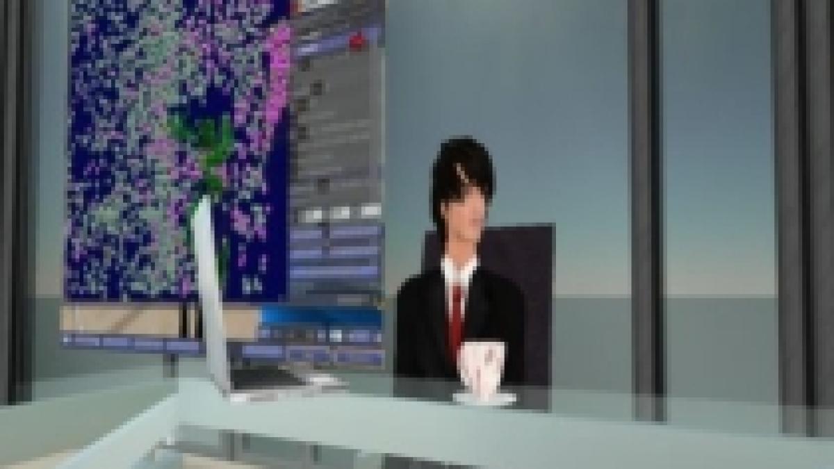 BCR, prima bancă românească virtuală în Second Life