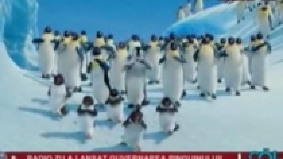 Noul imn al politicienilor? "Un pinguin conduce Guvernul şi totul se mişcă greu, greu, greu!" (VIDEO)