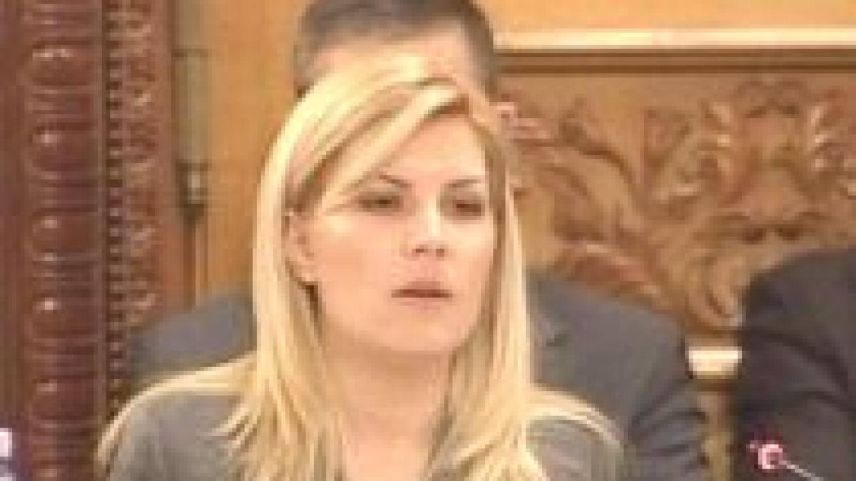 Elena Udrea, salvată de Roberta Anastase dintr-un scandal în Comisia Juridică