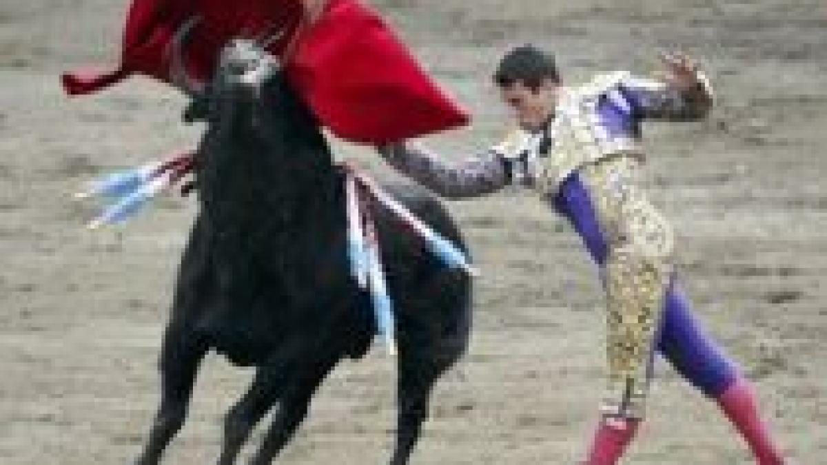 Record la coridă: Un matador de 16 ani a ucis şase tauri într-o singură partidă