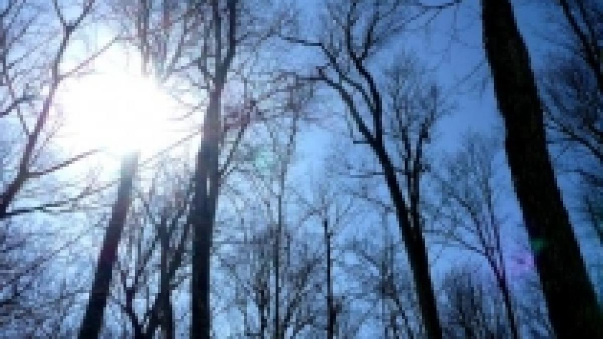 Temperaturi de până la 14 grade, în următoarele zile. Vezi prognoza meteo