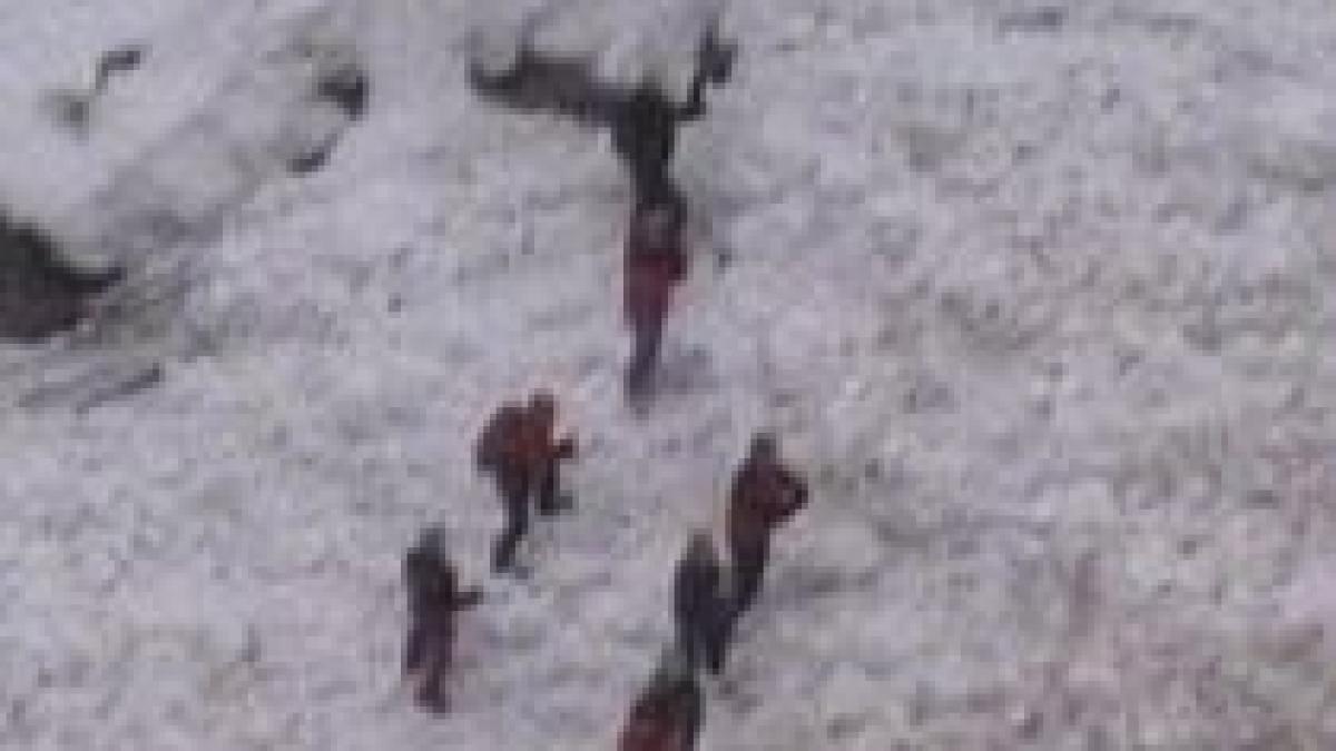 Salvamontist dat dispărut în urma unei avalanşe în munţii Făgăraş (VIDEO)