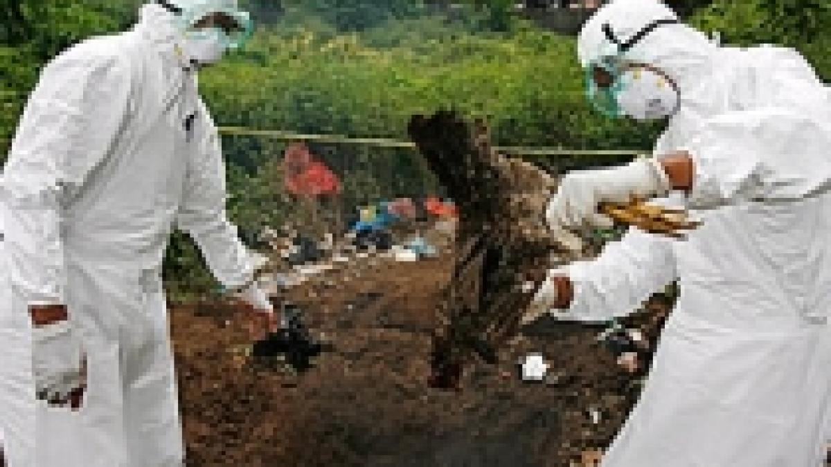 Virusul gripei aviare, o nouă ameninţare: Poate deveni "ucigaş pandemic" 