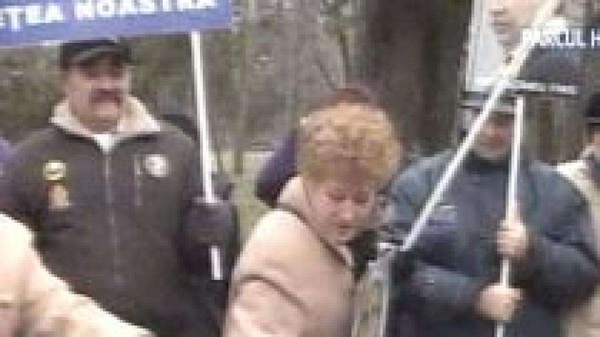 Bucureştenii protestează faţă de vânzarea a şapte hectare din Parcul Herăstrău către firme private (VIDEO)