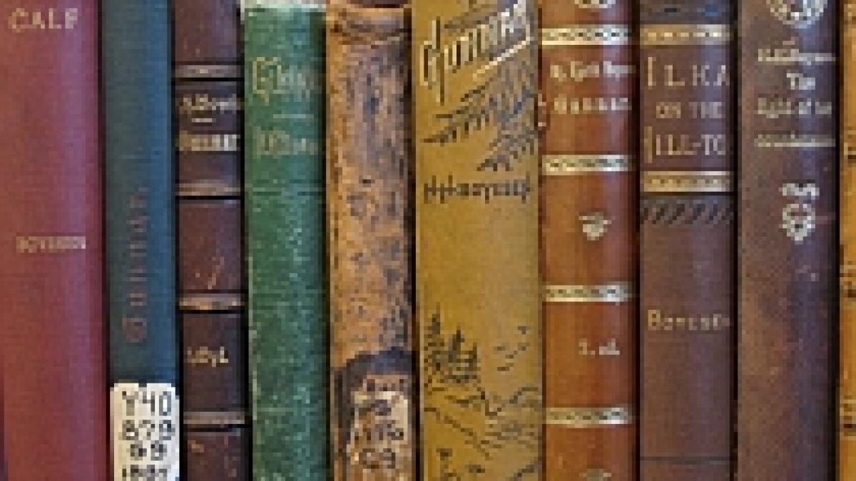 Google va scana cărţile din bibliotecile naţionale ale Italiei
