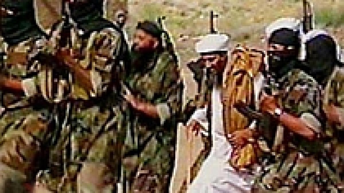 CIA: Am pus Al Qaeda  pe fugă şi am debusolat organizaţia