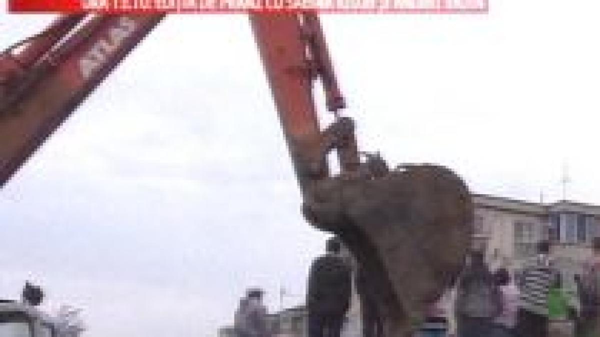 Accident tragic la Baia Mare. Un copil, tăiat în două de un excavator