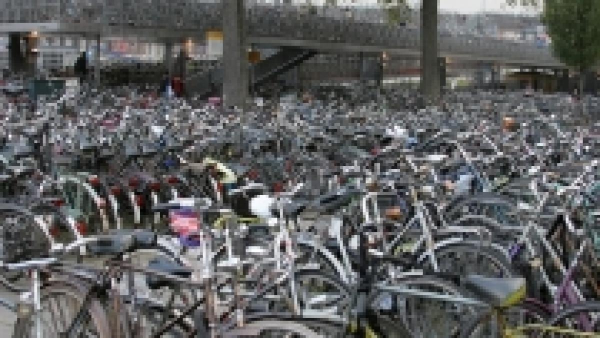 Bucureştenii pot închiria gratuit biciclete în parcurile Herăstrău şi Kiseleff