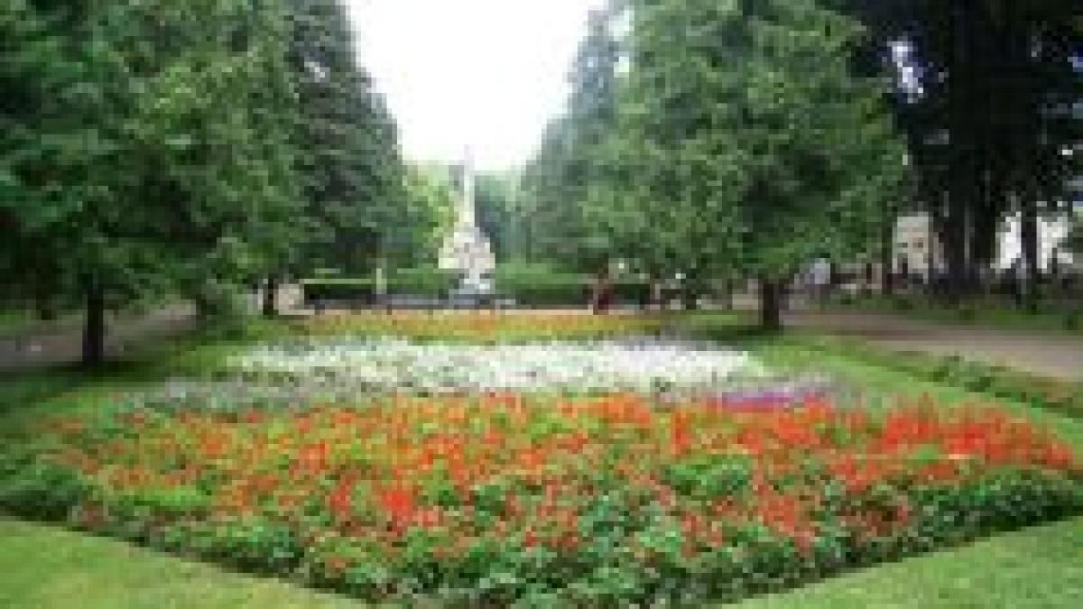 Iaşi. Cinci adolescenţi, răniţi după ce un copac din parcul Copou s-a prăbuşit (VIDEO)