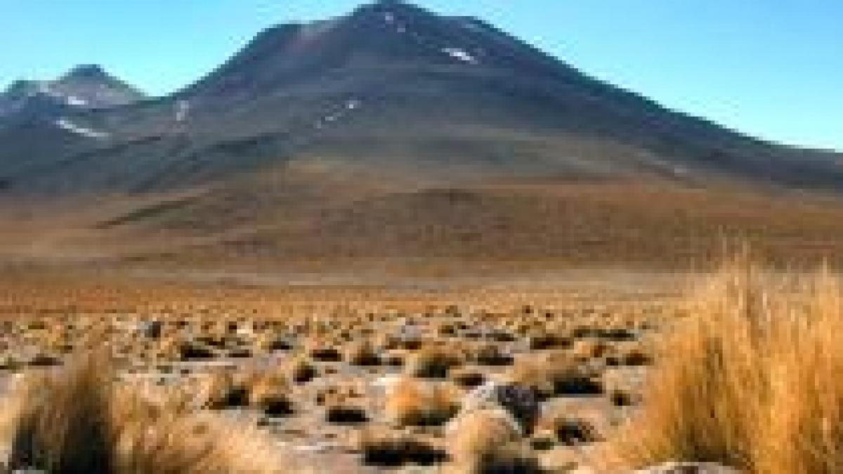 A nins în deşertul Atacama, pentru prima oară în ultimii cinci ani