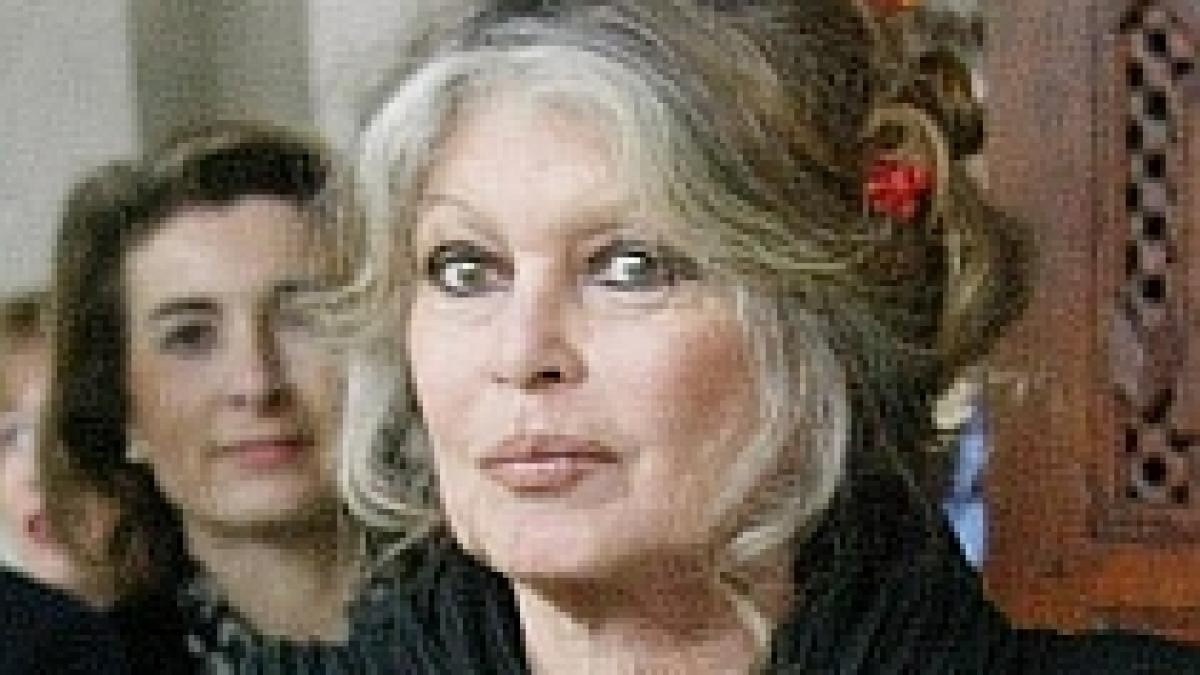 Brigitte Bardot protestează faţă de legea privind câinii comunitari din Bucureşti
