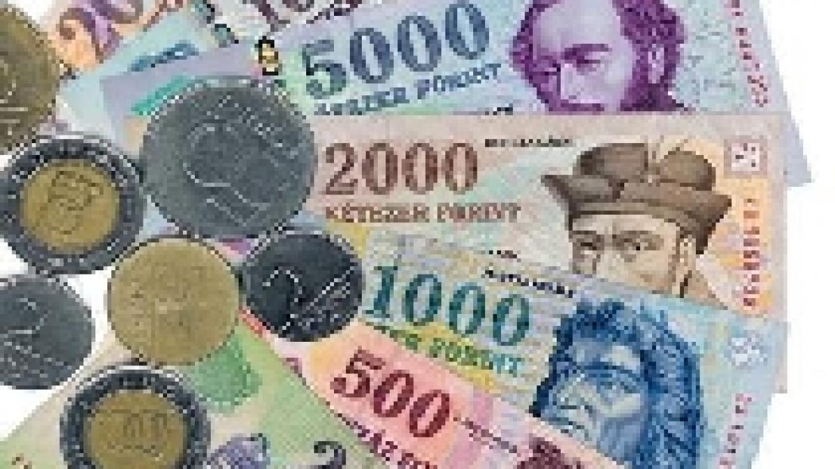 Noul guvern ungar vrea să reducă impozitele pentru stimularea creşterii economice