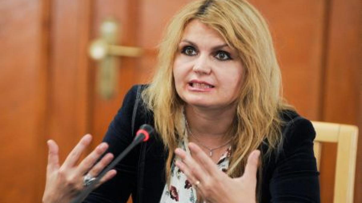 Noul judecător la CCR, Iulia Motoc, omul UNPR, nu al PDL