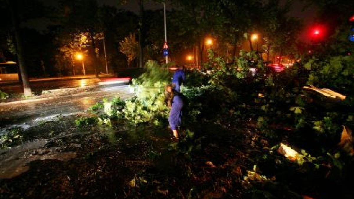 Copaci căzuţi, două maşini avariate şi un semafor distrus după furtuna de miercuri noapte