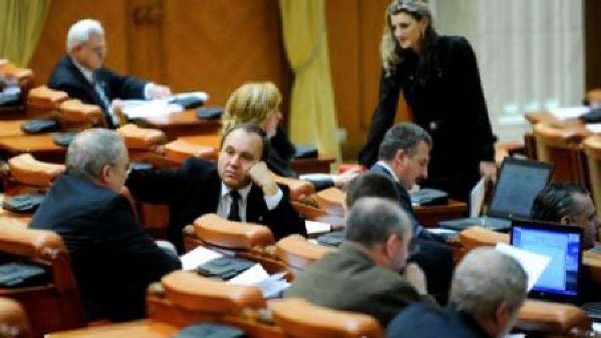 Codurile de procedură civilă şi penală, adoptate pe articole de deputaţi