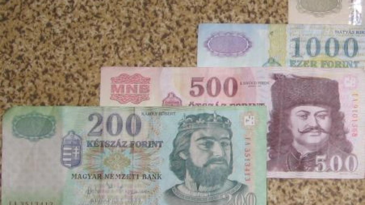 Ungaria taie salariile funcţionarilor publici şi ale angajaţilor din banca centrală