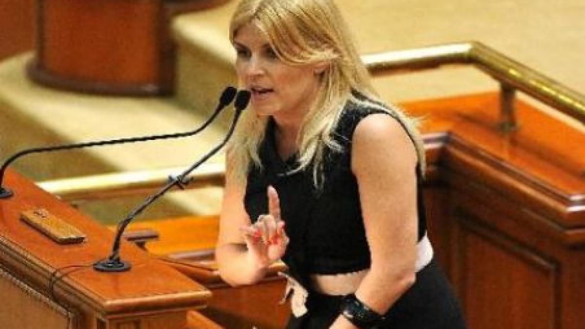 Udrea: România, reîmpărţită în noi regiuni de dezvoltare după 2013