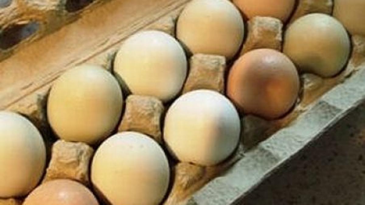  UE vrea să interzică vânzarea alimentelor "la pachet". Vom cumpăra ouă la kilogram?