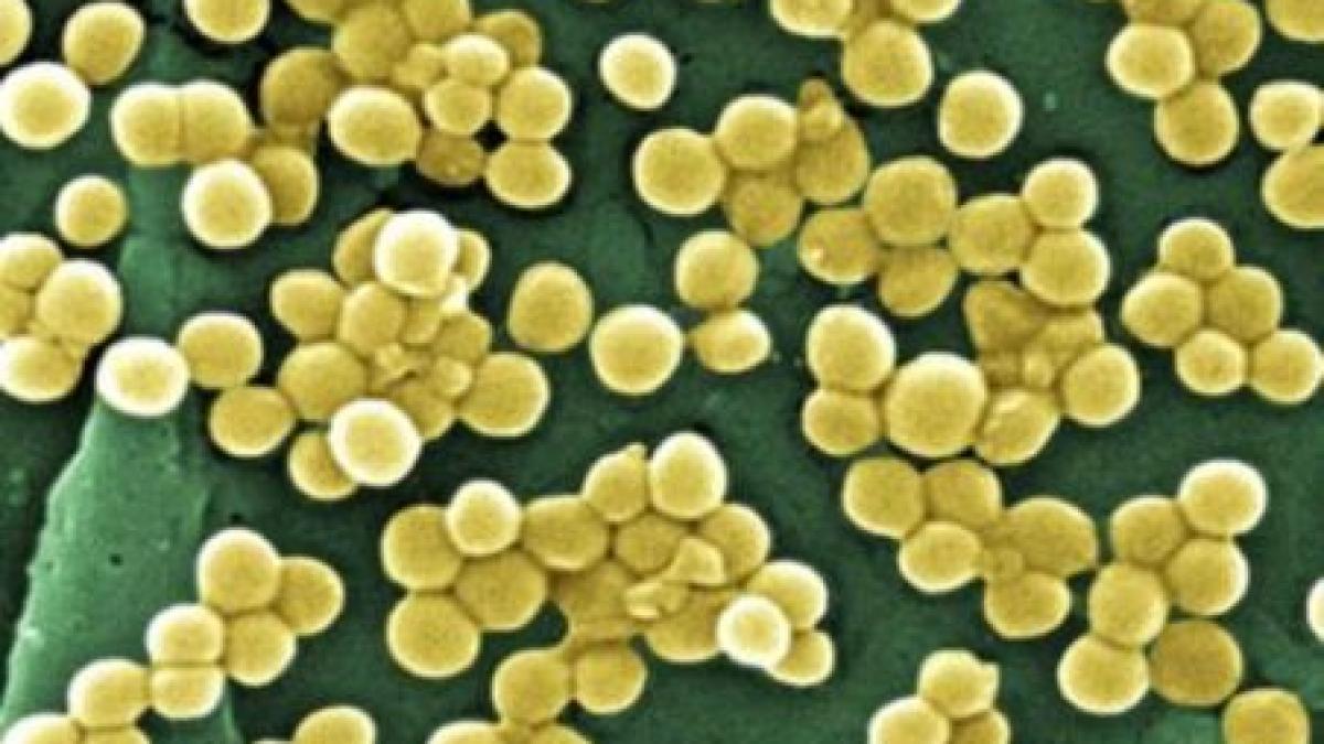 Apune era antibioticelor? Enzima NDM 1 face bacteriile rezistente la tratament