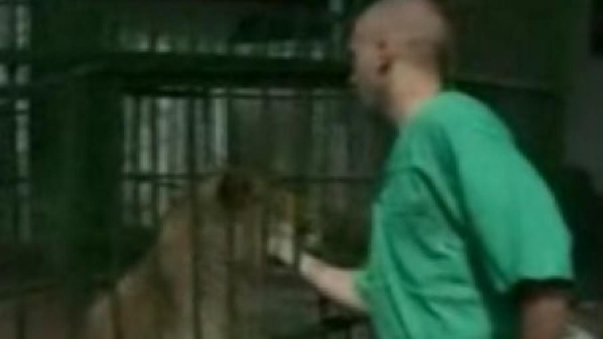 Grădina Zoologică din Braşov a rămas fără veterinar din cauza reducerilor salariale (VIDEO)