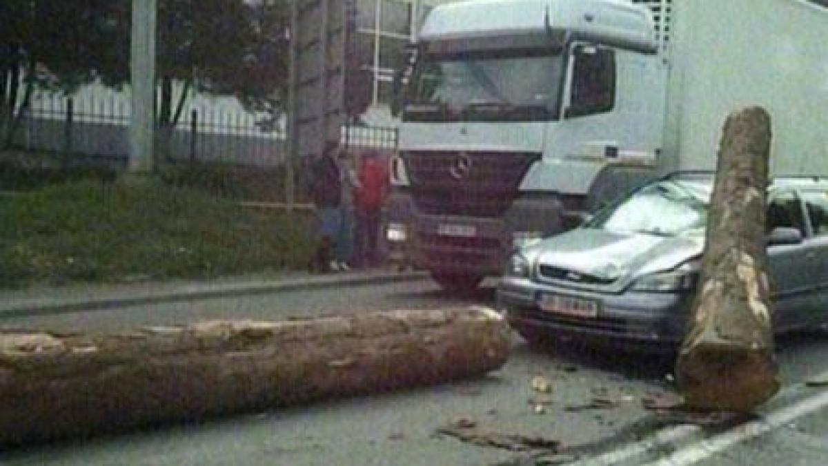 Doi buşteni au căzut dintr-un camion, pe capota unei maşini (VIDEO)
