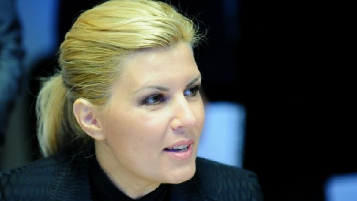 Udrea: Nimeni normal la cap nu-şi poate imagina că în 2010 îl poţi suspenda pe preşedinte a doua oară