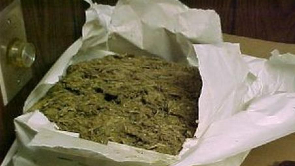 Tunelul drogurilor: Tone de marijuana, confiscate la graniţa americană