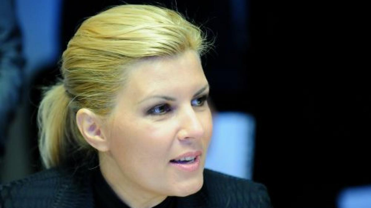 Udrea îl vede pe Preda la şefia PDL: Când vorbeşti de reformă trebuie să te uiţi cum conservi tradiţia 