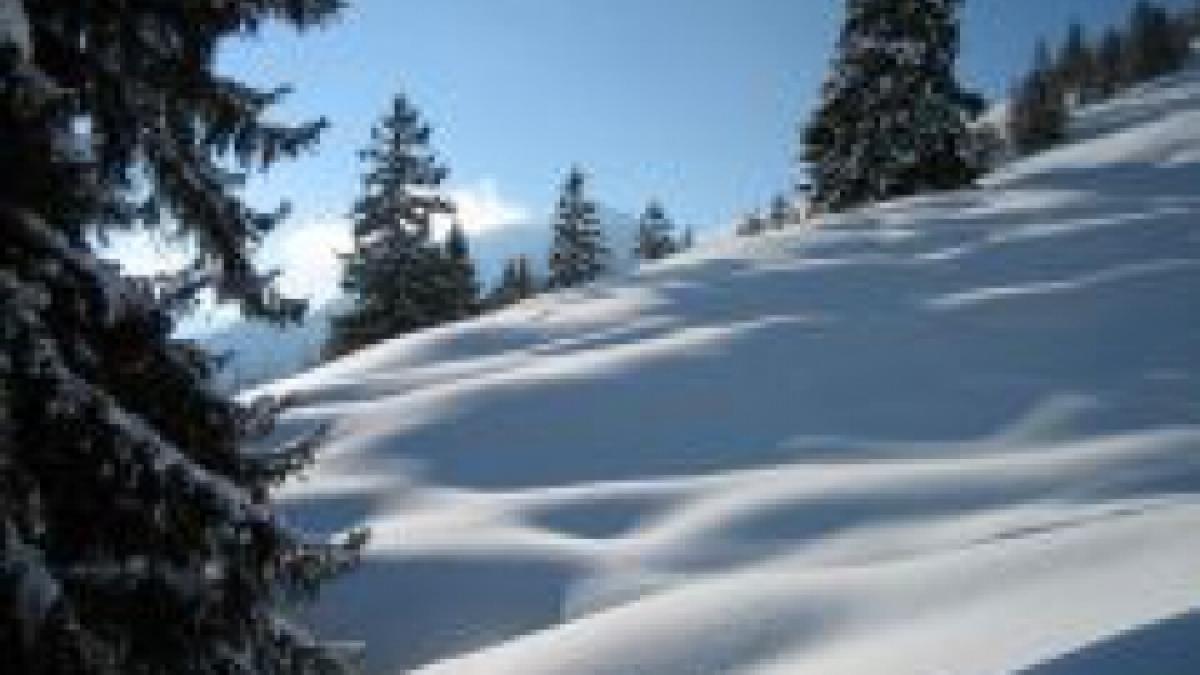 Italia. Patru oameni au murit în urma a două avalanşe