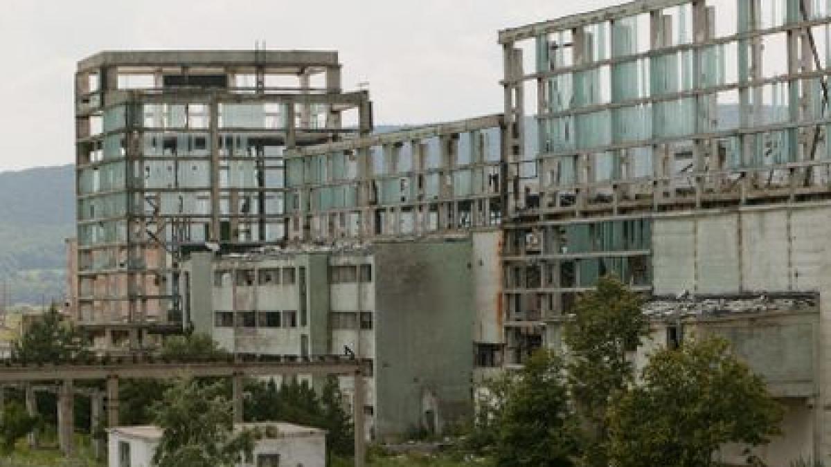 Comerţul, construcţiile şi industria prelucrătoare vor înregistra scăderi. Numărul salariaţilor s-ar putea reduce cu o treime