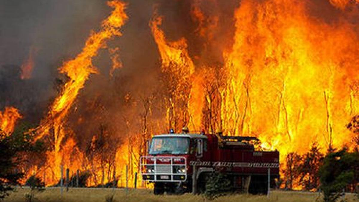 Incendiile de vegetaţie au distrus 350 de hectare în Australia