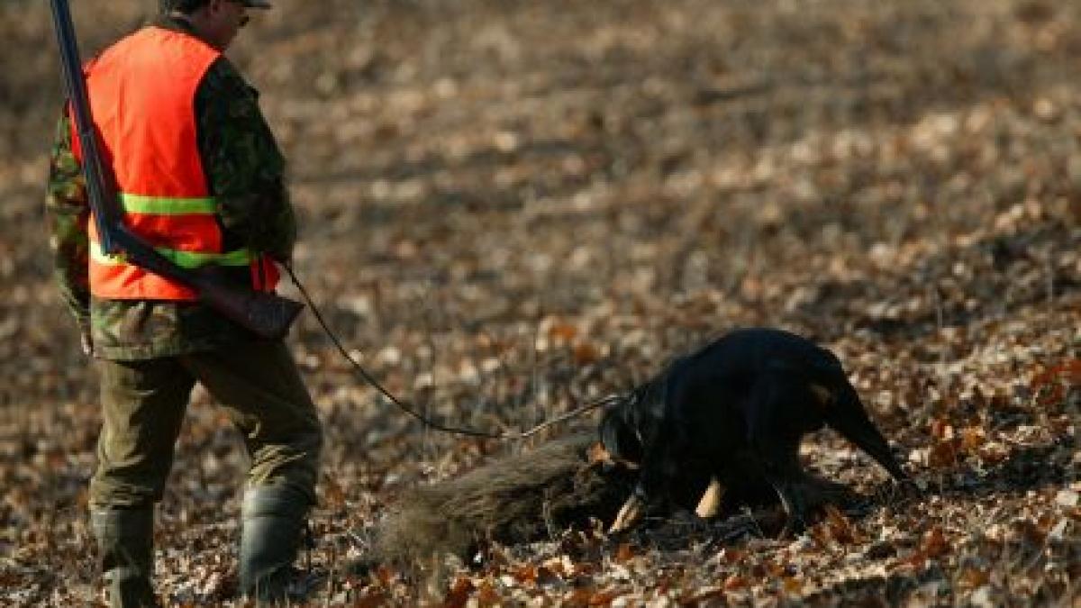 Olt. Bărbat împuşcat din greşeală în timpul unei vânători de porc sălbatic