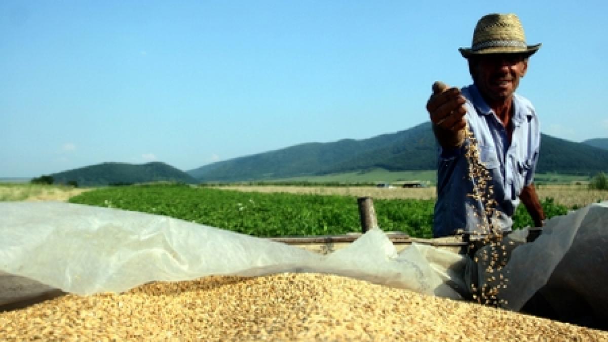 Preţul alimentelor a atins un nou record la nivel mondial 