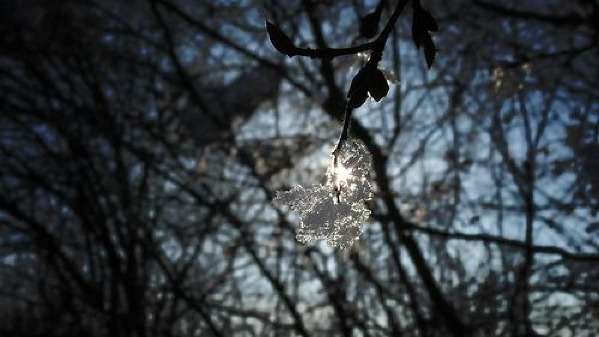 Vremea se încălzeşte uşor în weekend. Vezi prognoza meteo