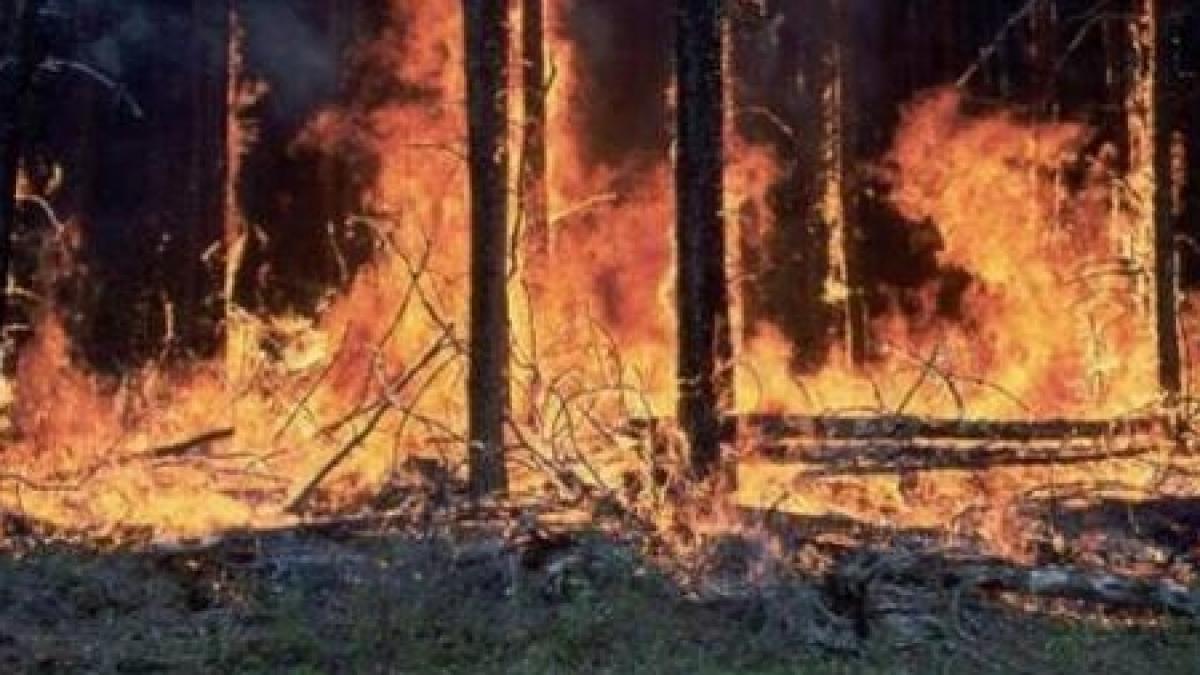 Incendiu puternic în Oklahoma: Zeci de familii au fost evacuate