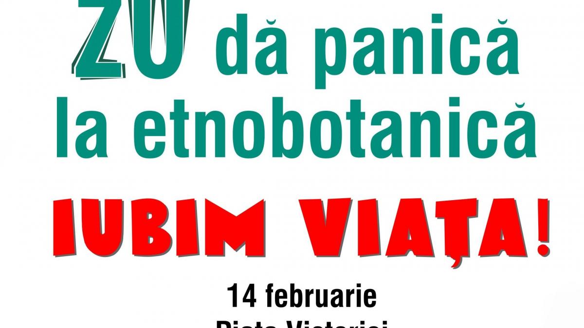 Ajută-i pe Buzdugan şi Morar să închidă magazinele de vise. Află când are loc protestul