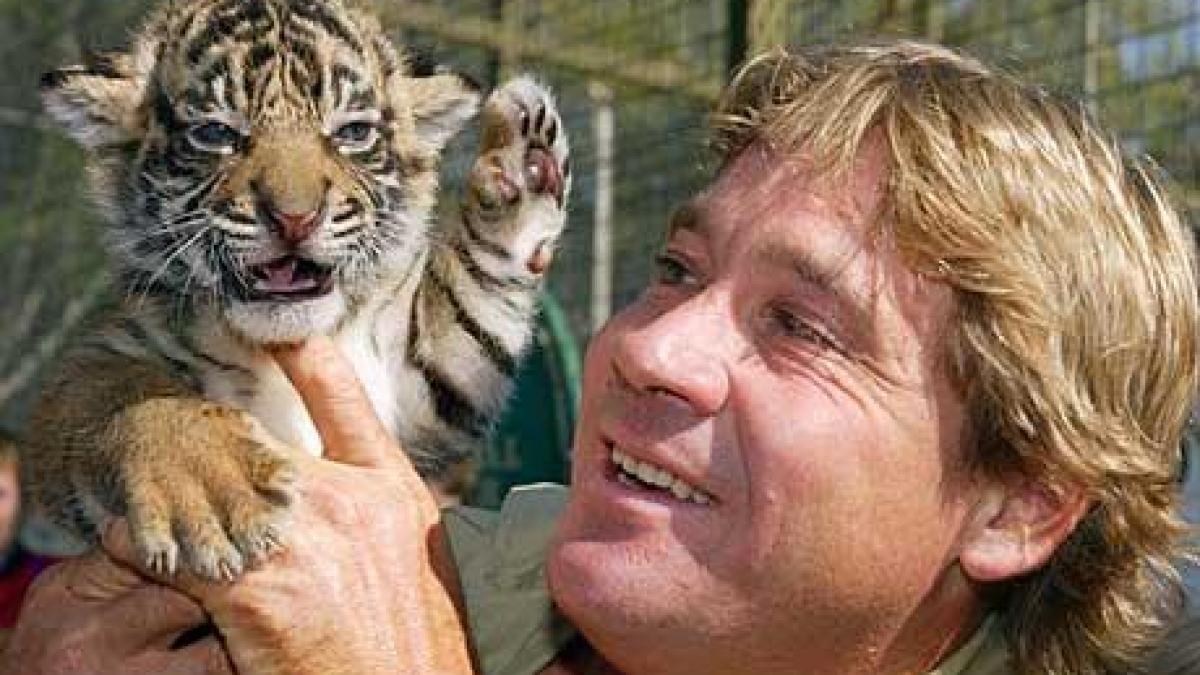 Steve Irwin ar putea fi exhumat. Băncile ar putea închide grădina zoologică unde este îngropat