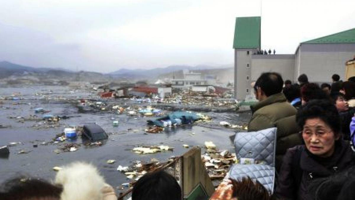 300-400 de cadavre, găsite într-un port din nord-estul Japoniei 