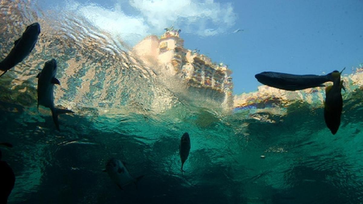 Oraşul pierdut al Atlantidei, descoperit în sudul Spaniei