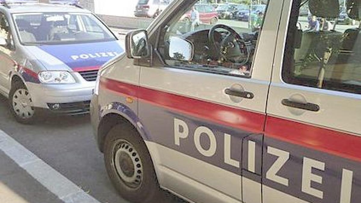 Încă doi români au fost arestaţi în Austria pentru furt